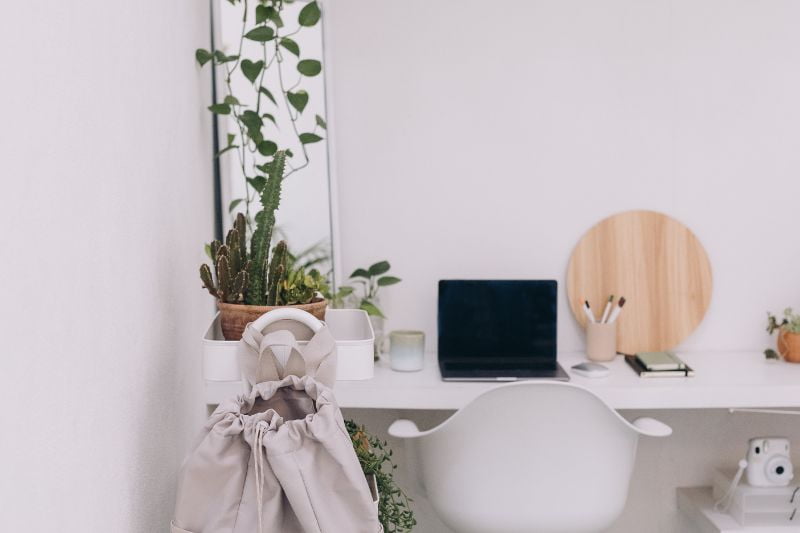 different varieties of plants added on a desk, near a laptop