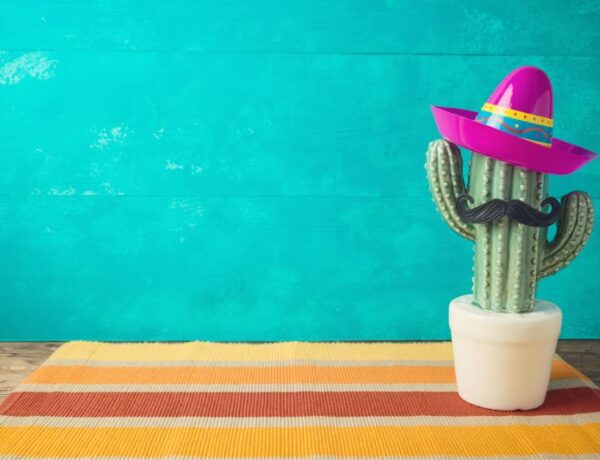 cute cactus with a pink sombrero