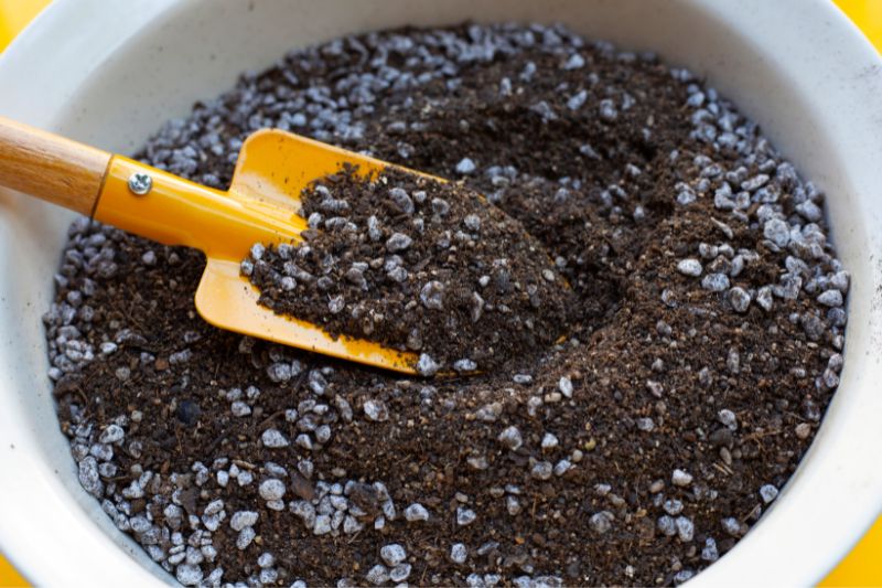 Does Potting Soil Go Bad? Causes and How to Fix It Apartment Buds