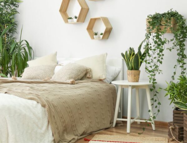 a bedroom filled with low maintenance houseplants