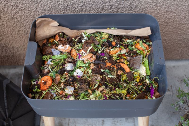 producing worm castings through vermicomposting